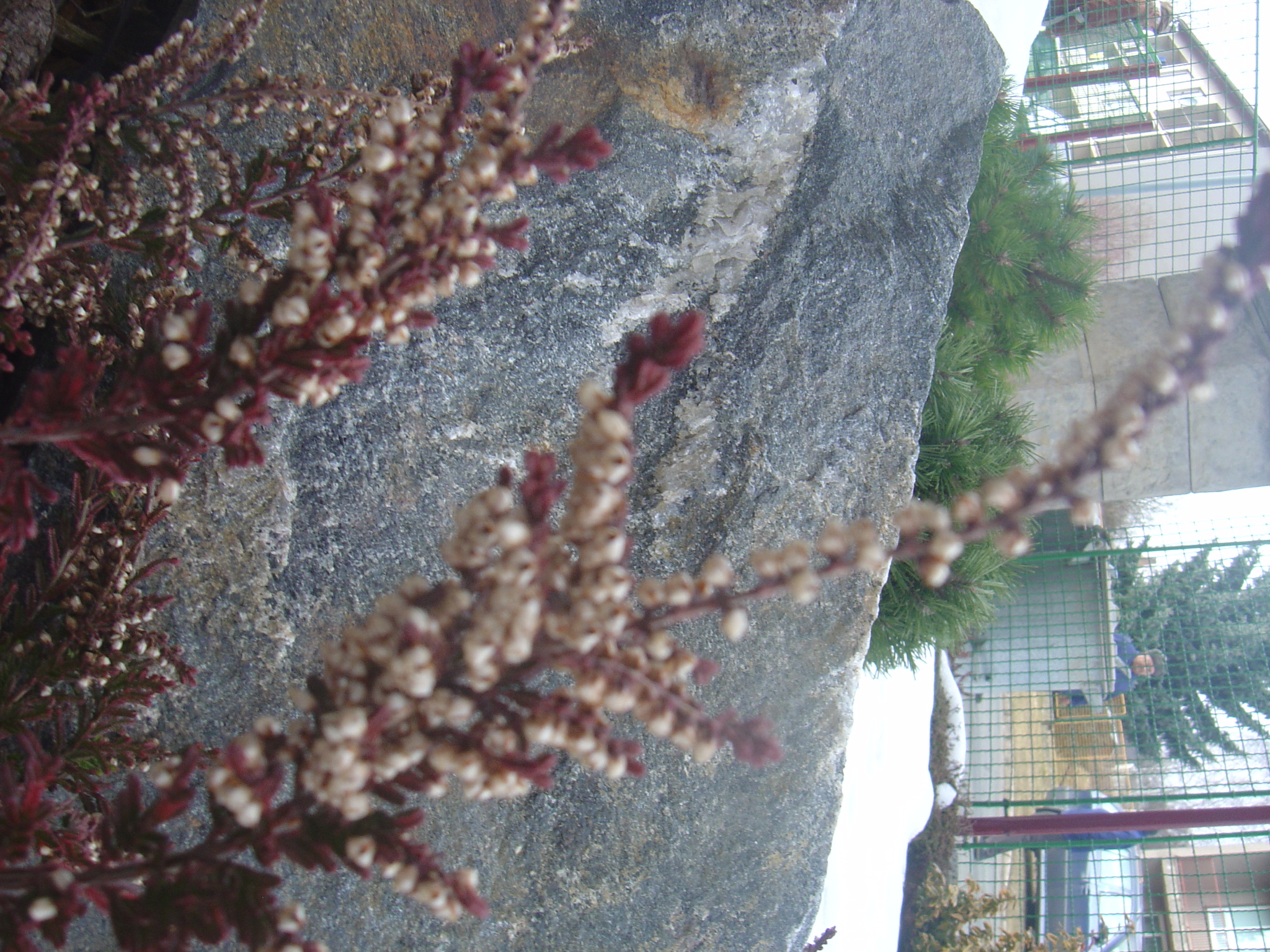 DSC00009
