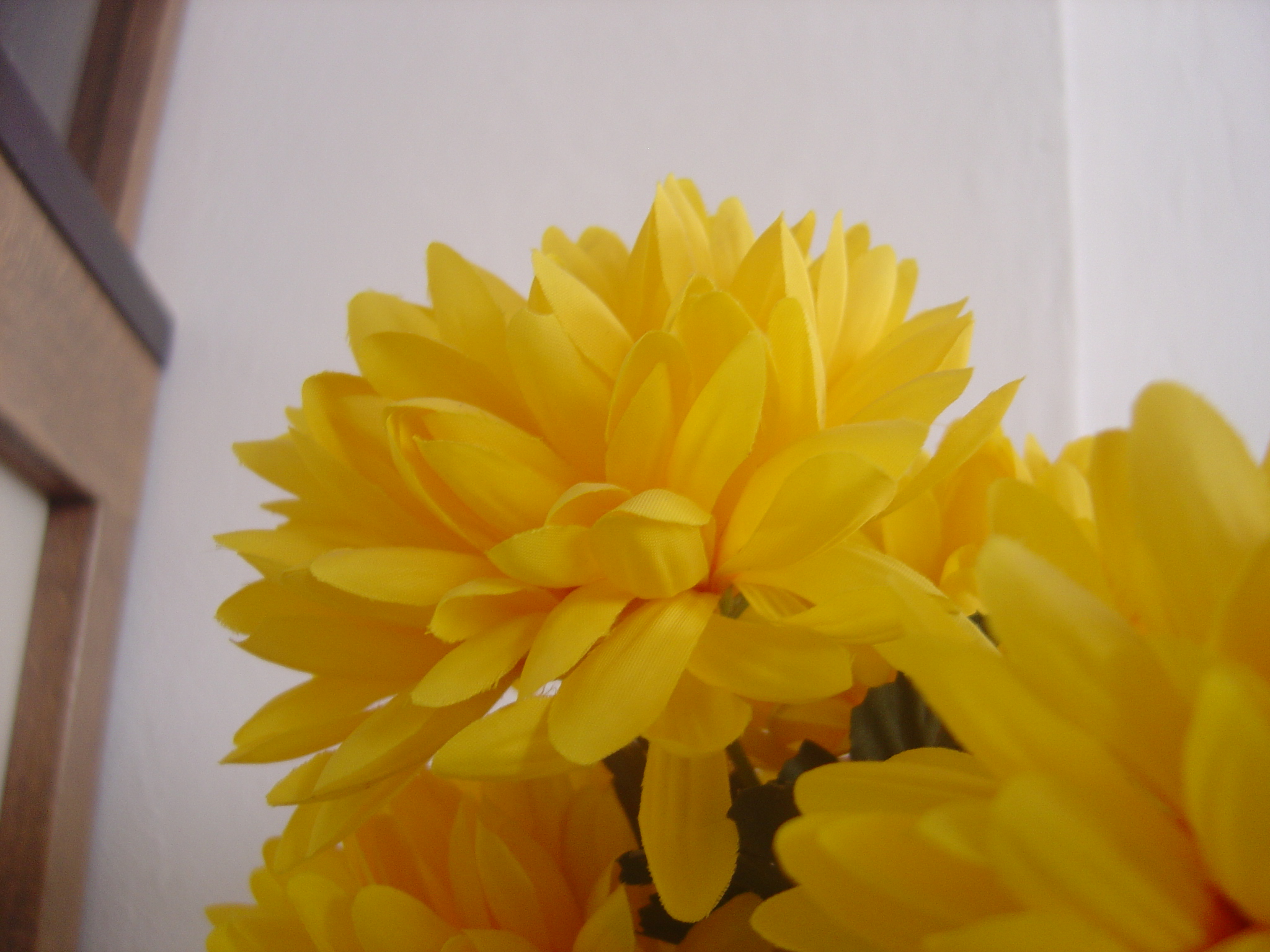 DSC00018