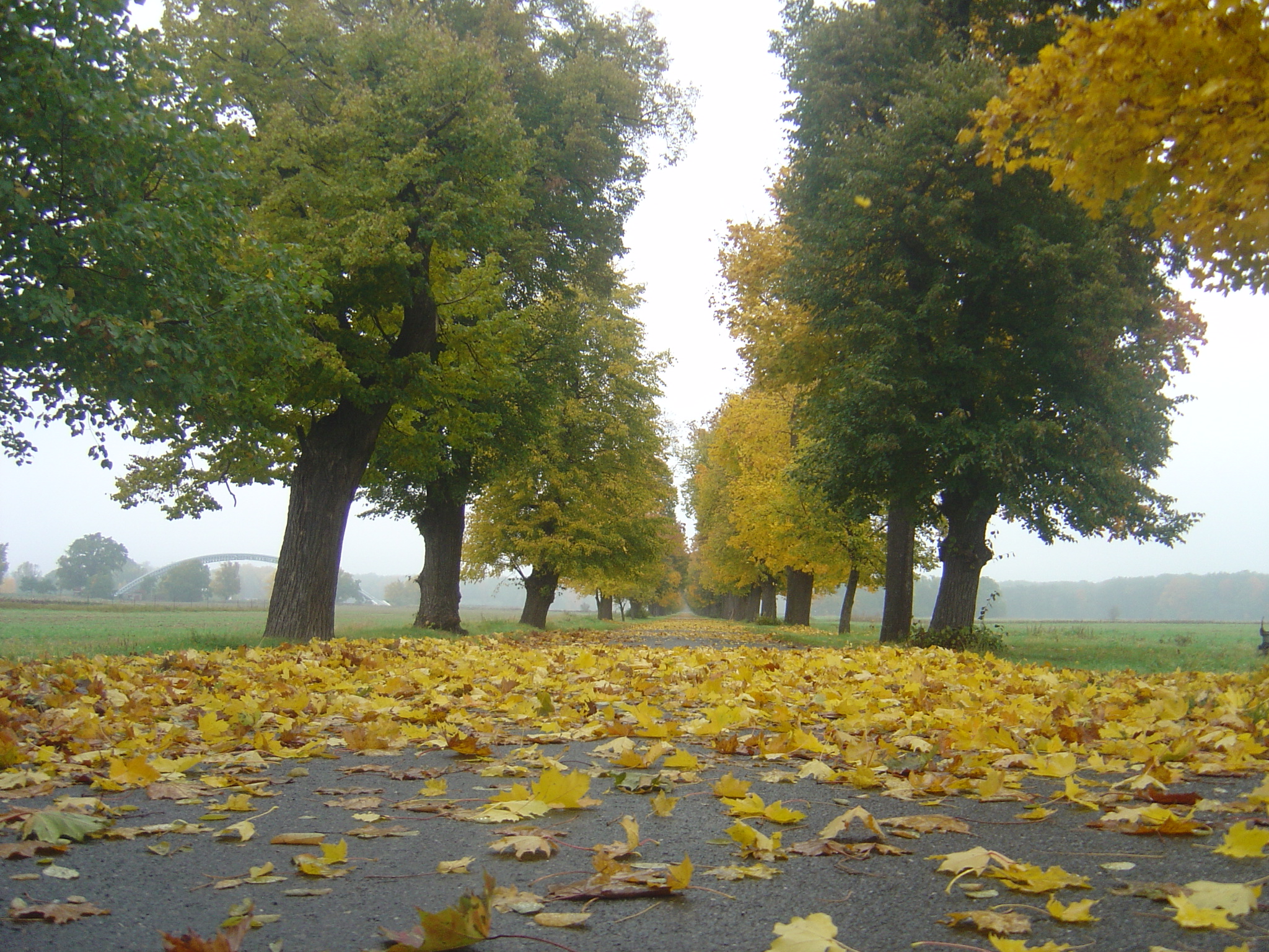 DSC00039