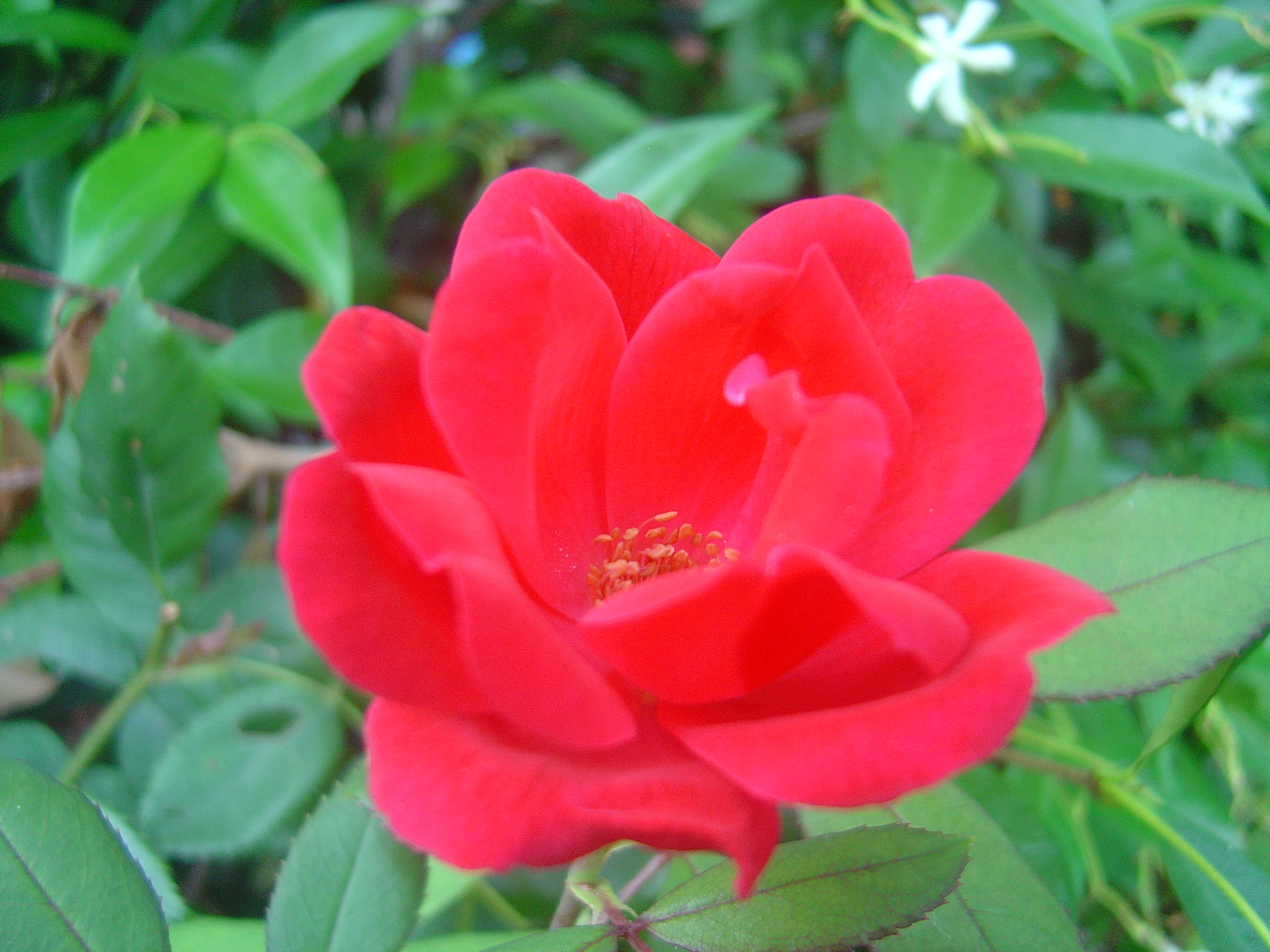 DSC00028